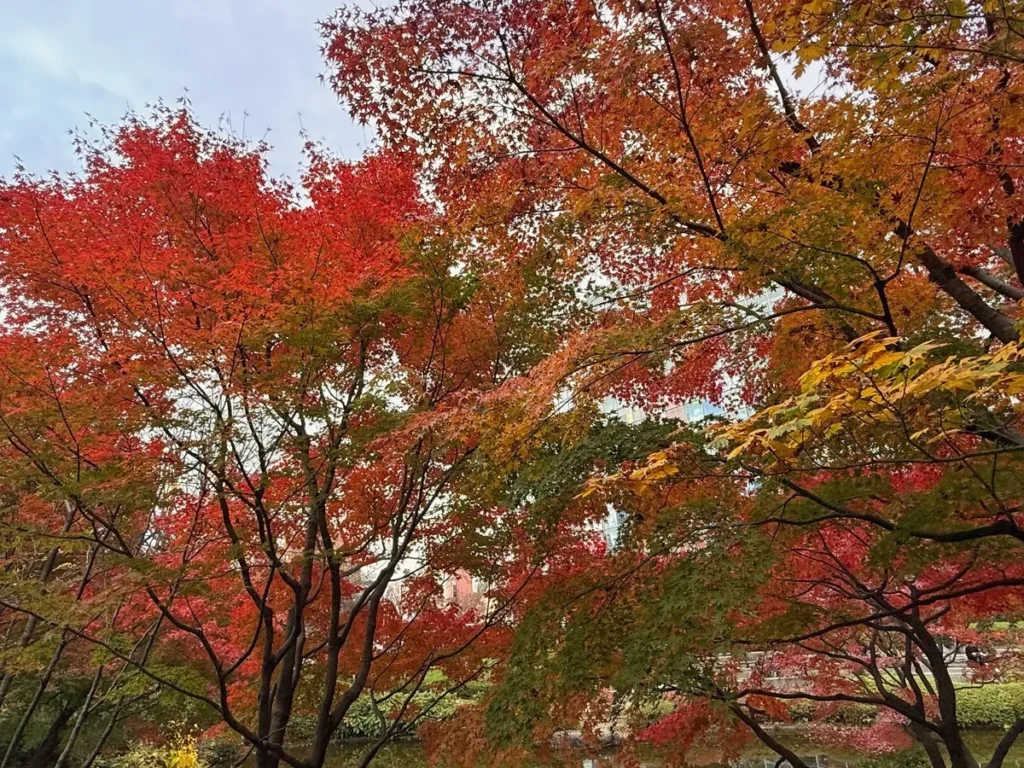 毛利庭園